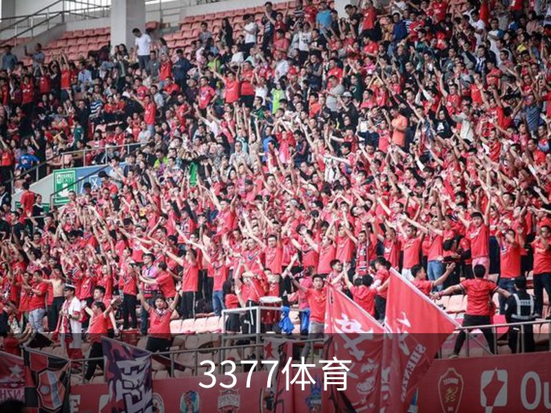 3377体育简介